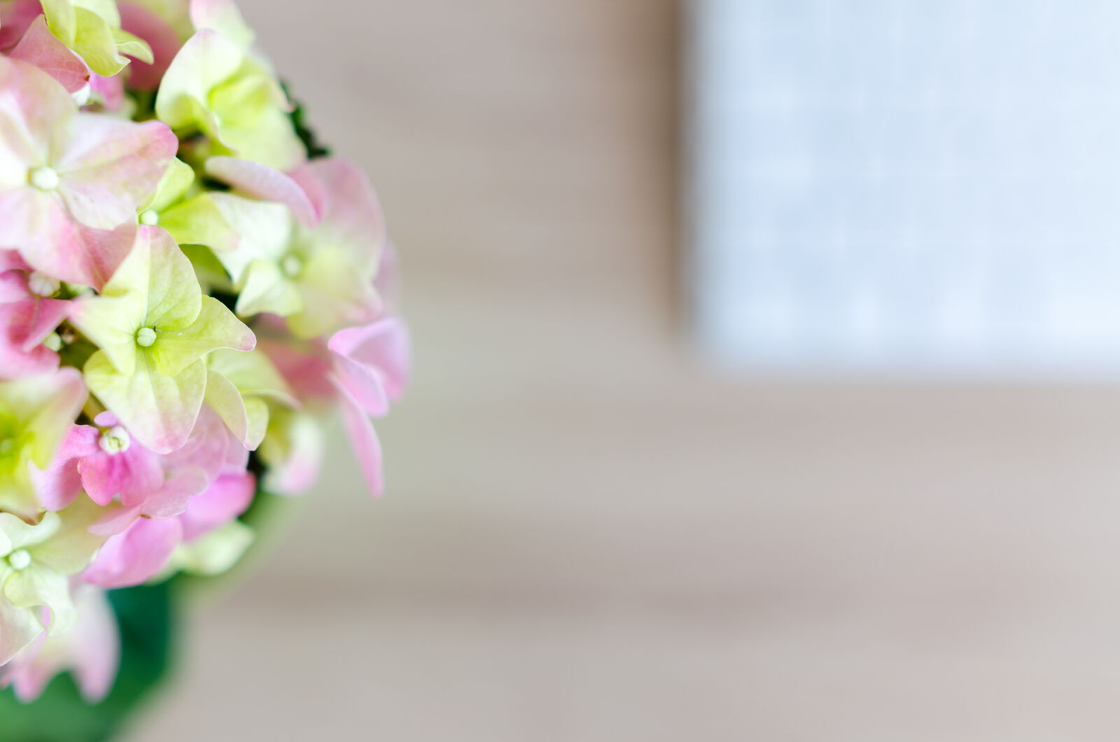 Nikon D5100 sample photo. Above, background, blank, business photography