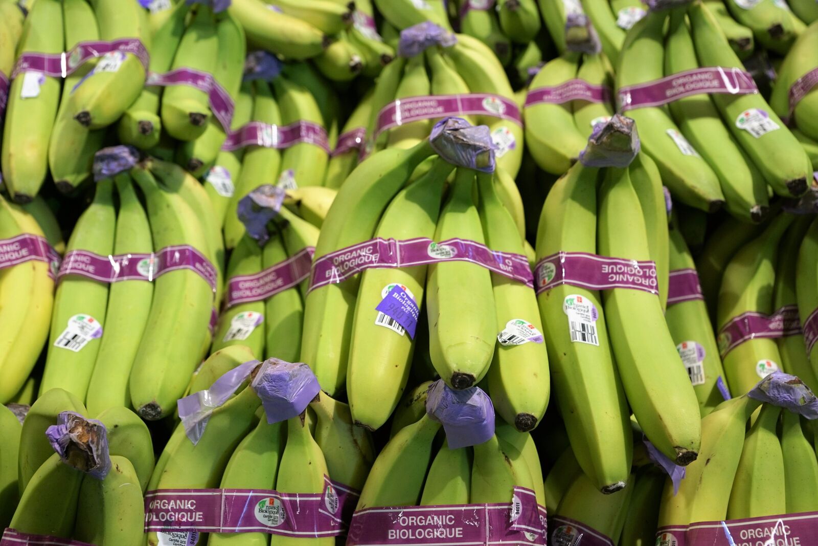 Sony ILCA-77M2 + Sony DT 16-50mm F2.8 SSM sample photo. Bananas, eat, market photography