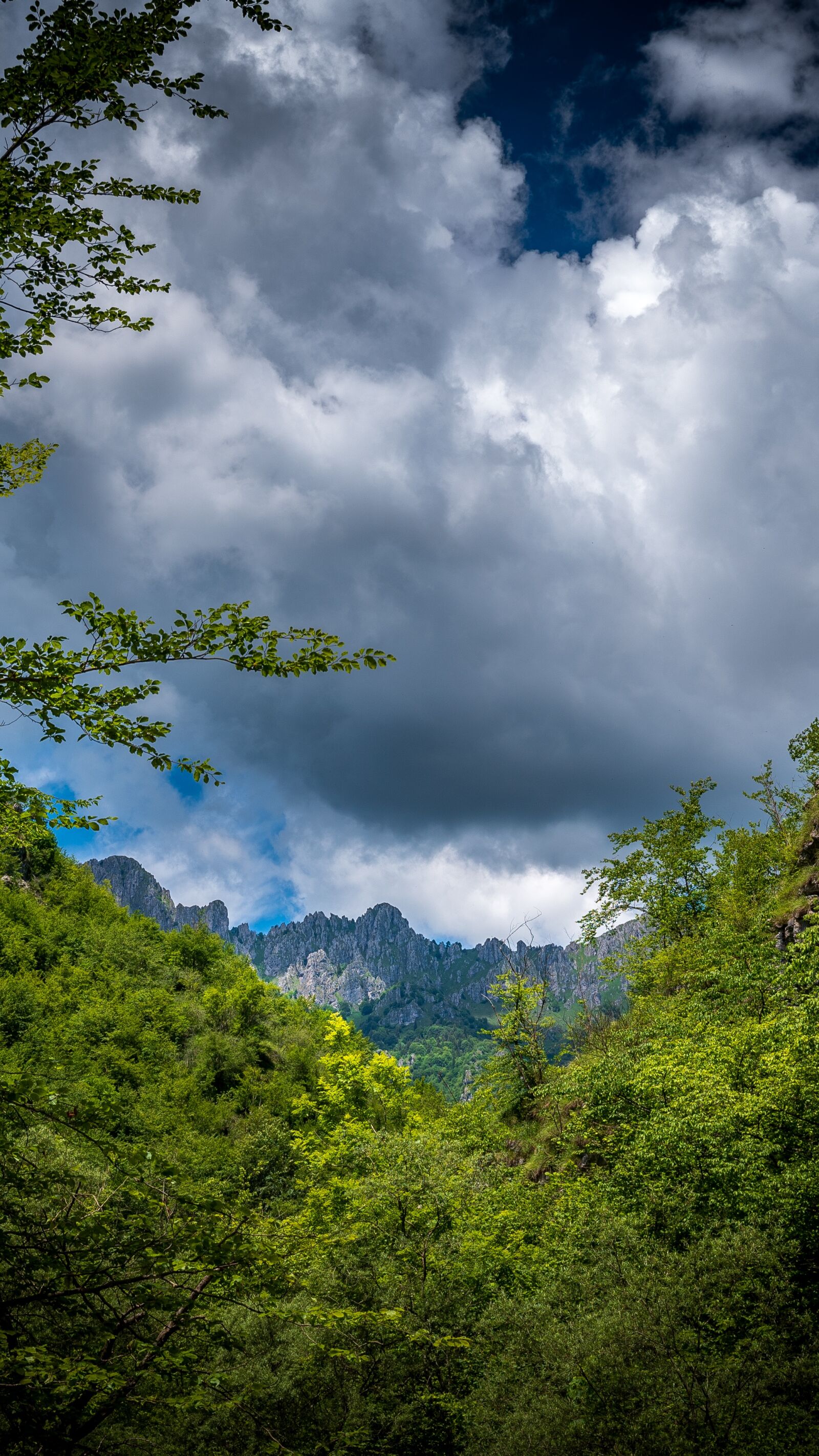 Tamron 17-35mm F2.8-4 Di OSD sample photo. Montagna, val vertova, vertova photography
