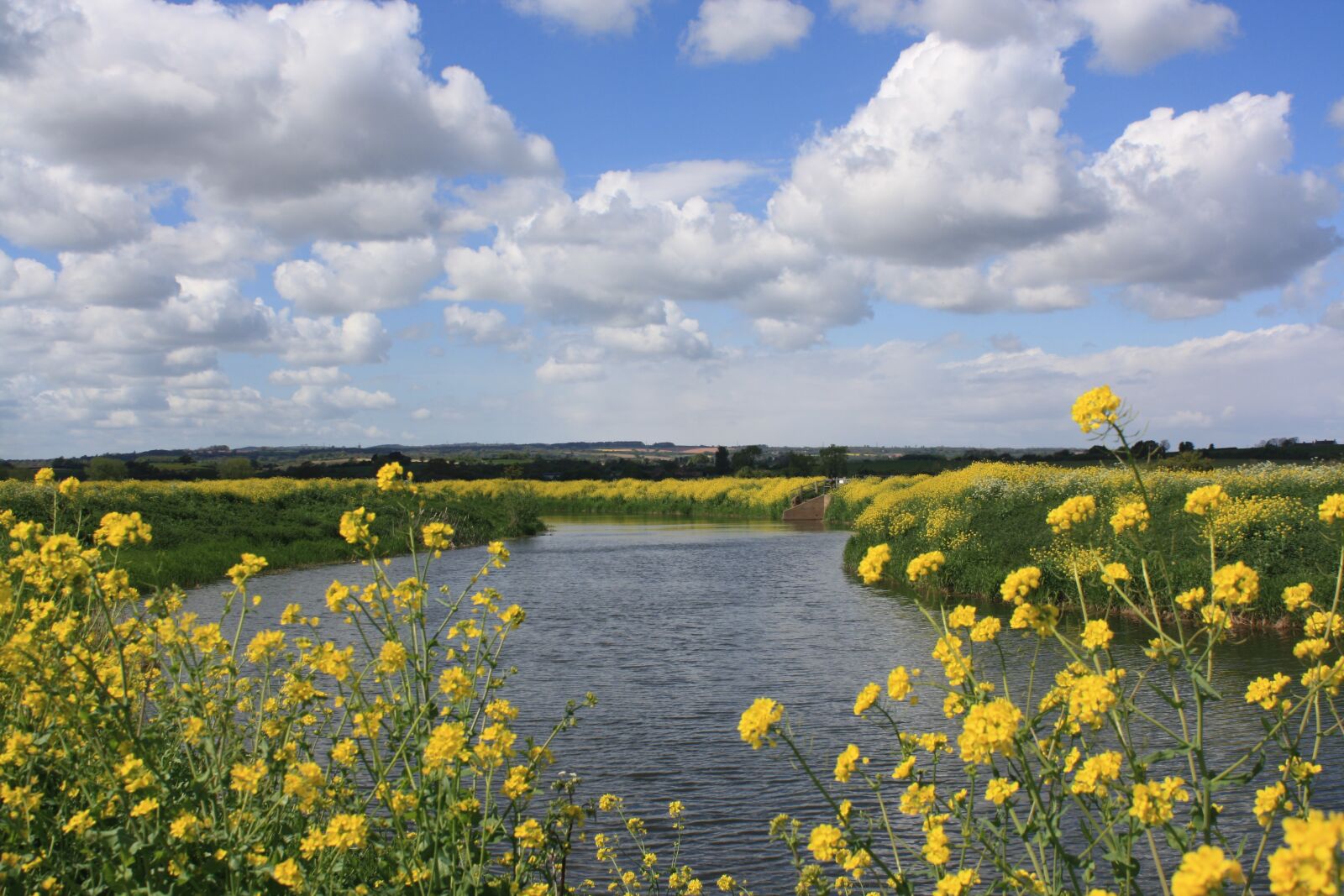 Canon EOS 1000D (EOS Digital Rebel XS / EOS Kiss F) sample photo. River, oil seed rape photography