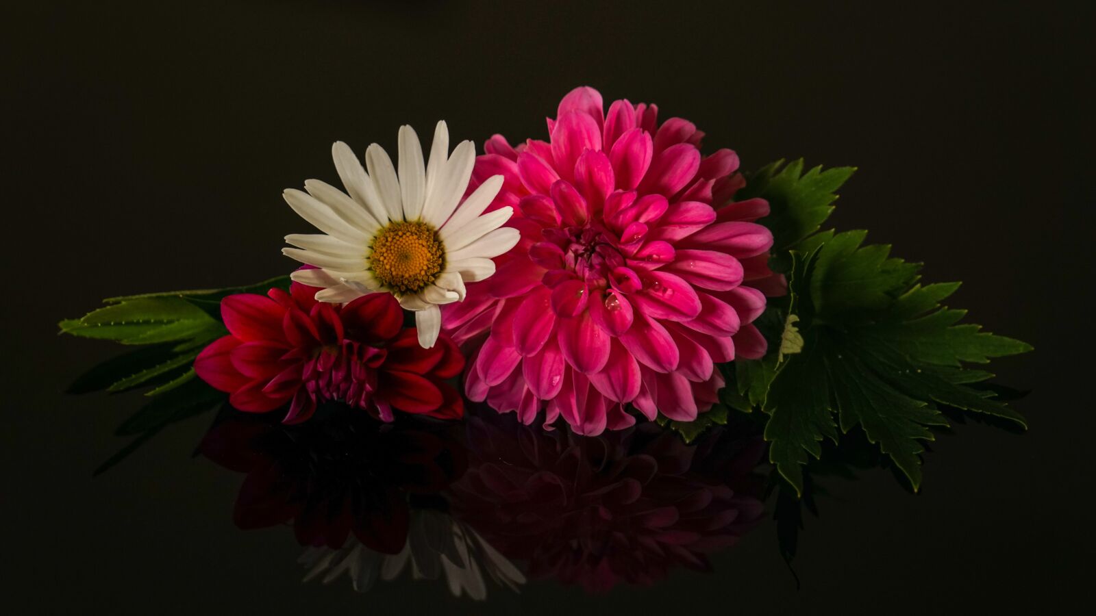 Sony a7R sample photo. Flower arrangement, three flowers photography