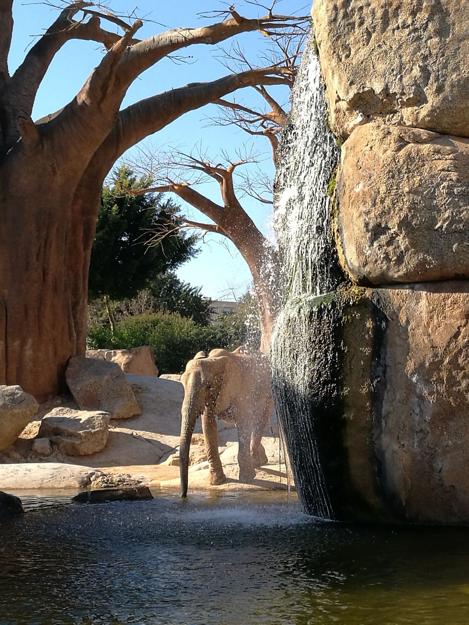 HUAWEI P9 sample photo. Elephant, waterfall, shroud photography