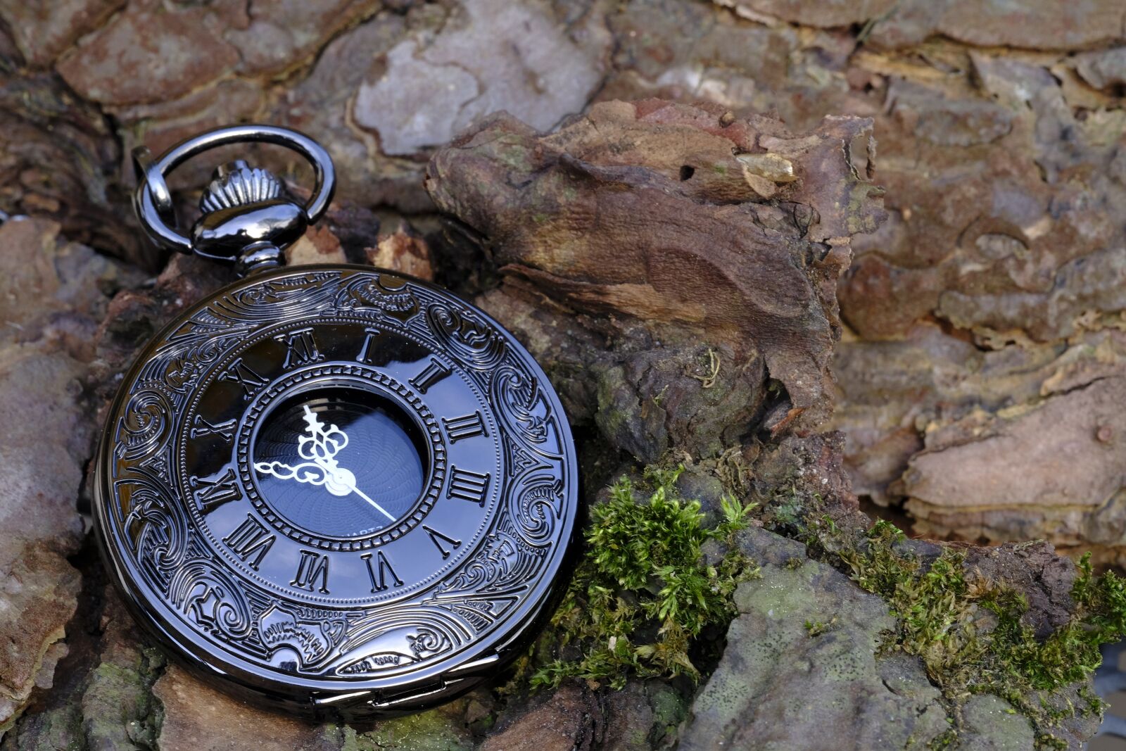 Fujifilm X-T2 + Fujifilm XF 80mm F2.8 R LM OIS WR Macro sample photo. Clock, pocket watch, time photography