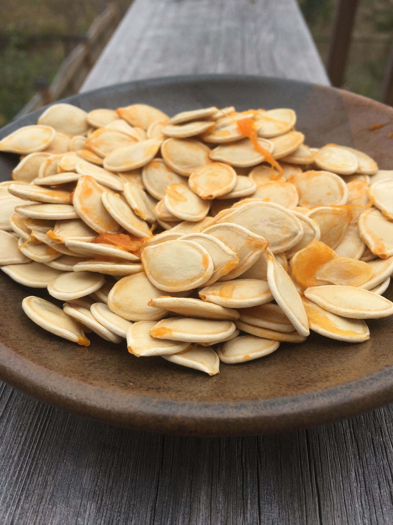 Apple iPhone 6s sample photo. Pumpkin, seeds, halloween photography