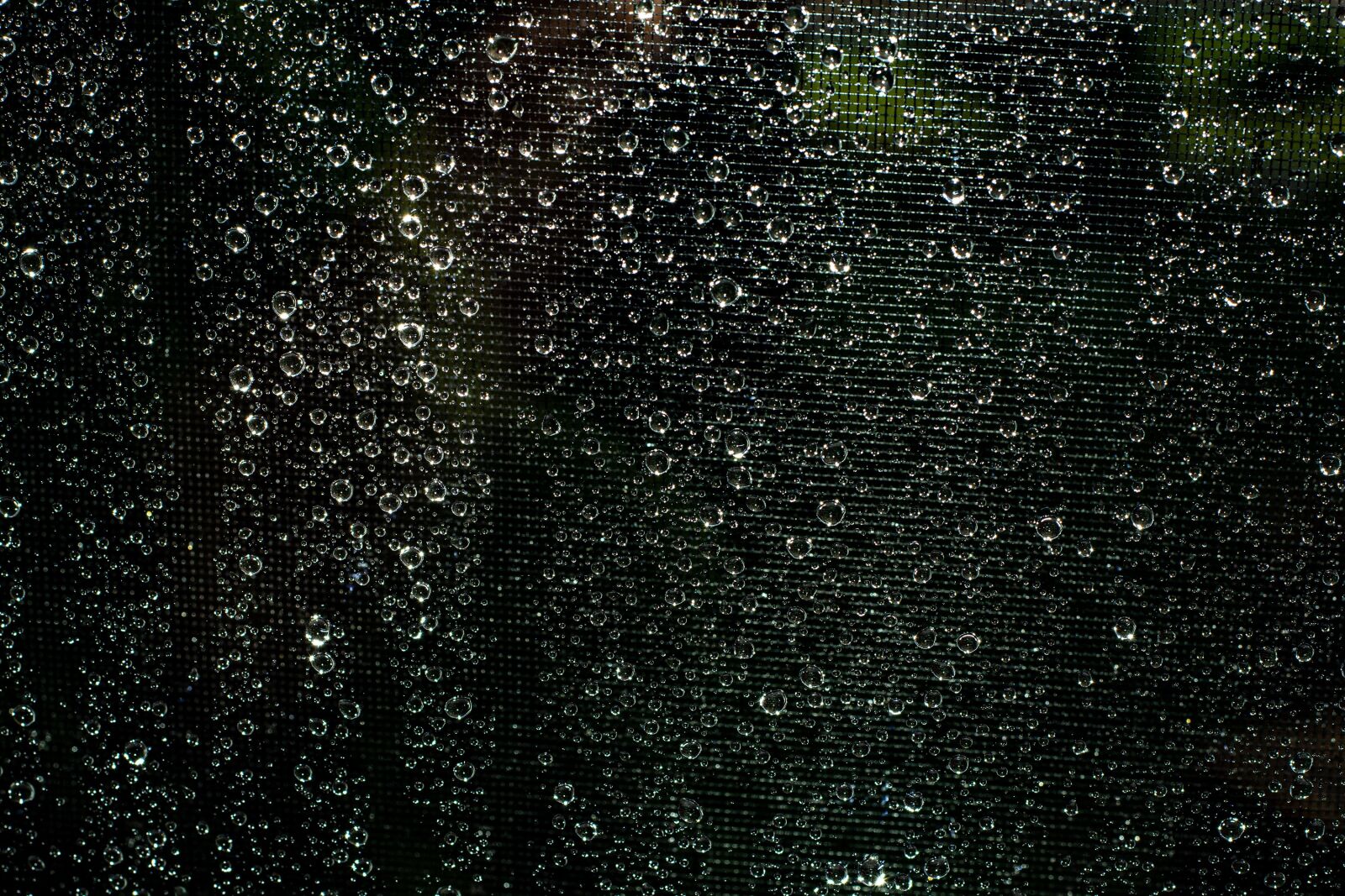 Nikon D7100 sample photo. Fly screens, drop of photography