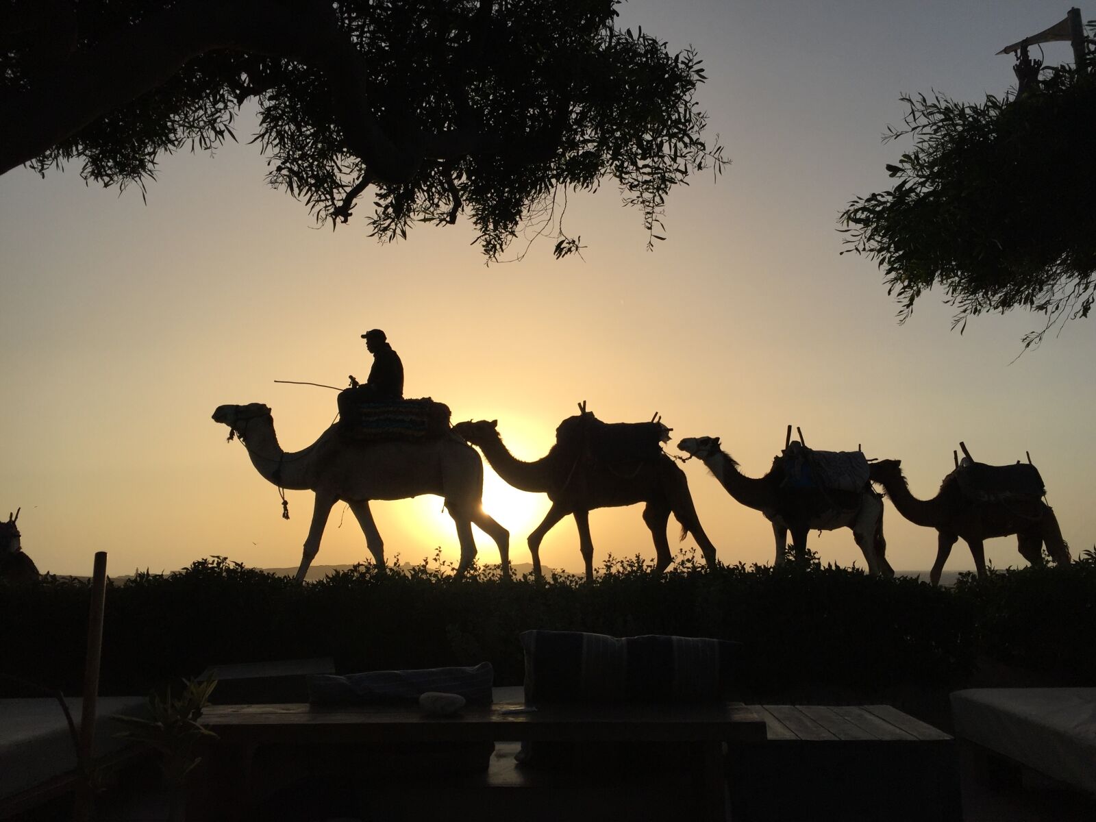 Apple iPhone 6 sample photo. Newsletter, desert, morocco photography