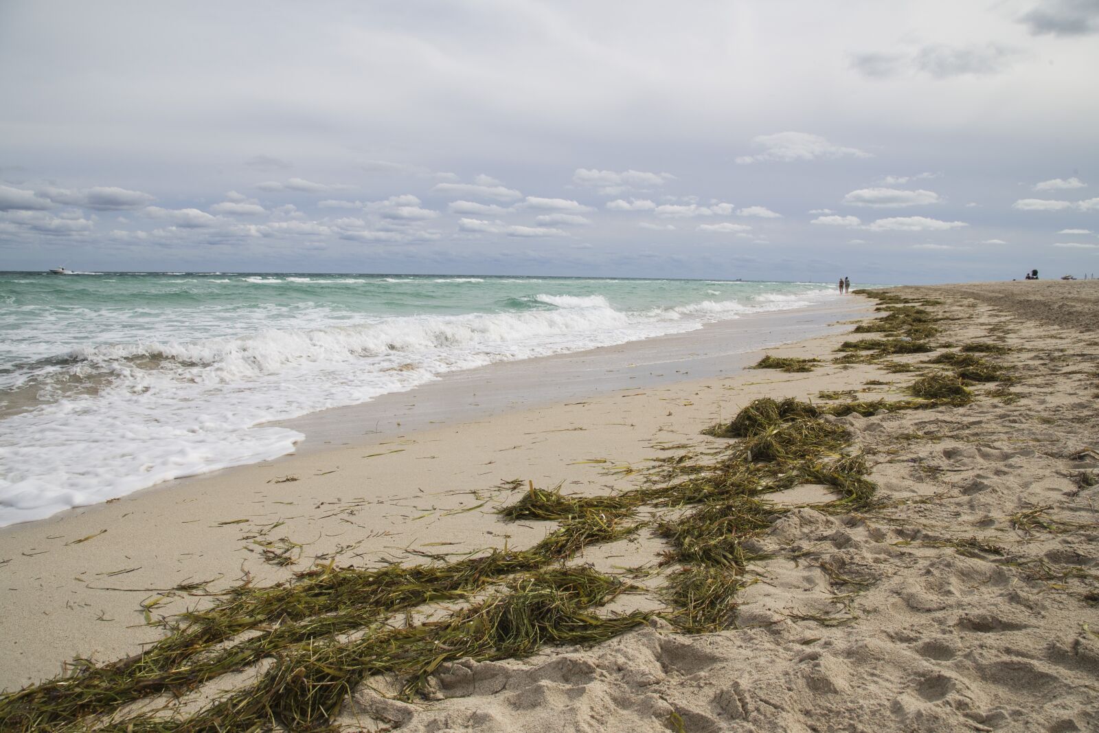 Canon EOS 6D + Canon EF 24-105mm F4L IS USM sample photo. Beach, sand, orange photography
