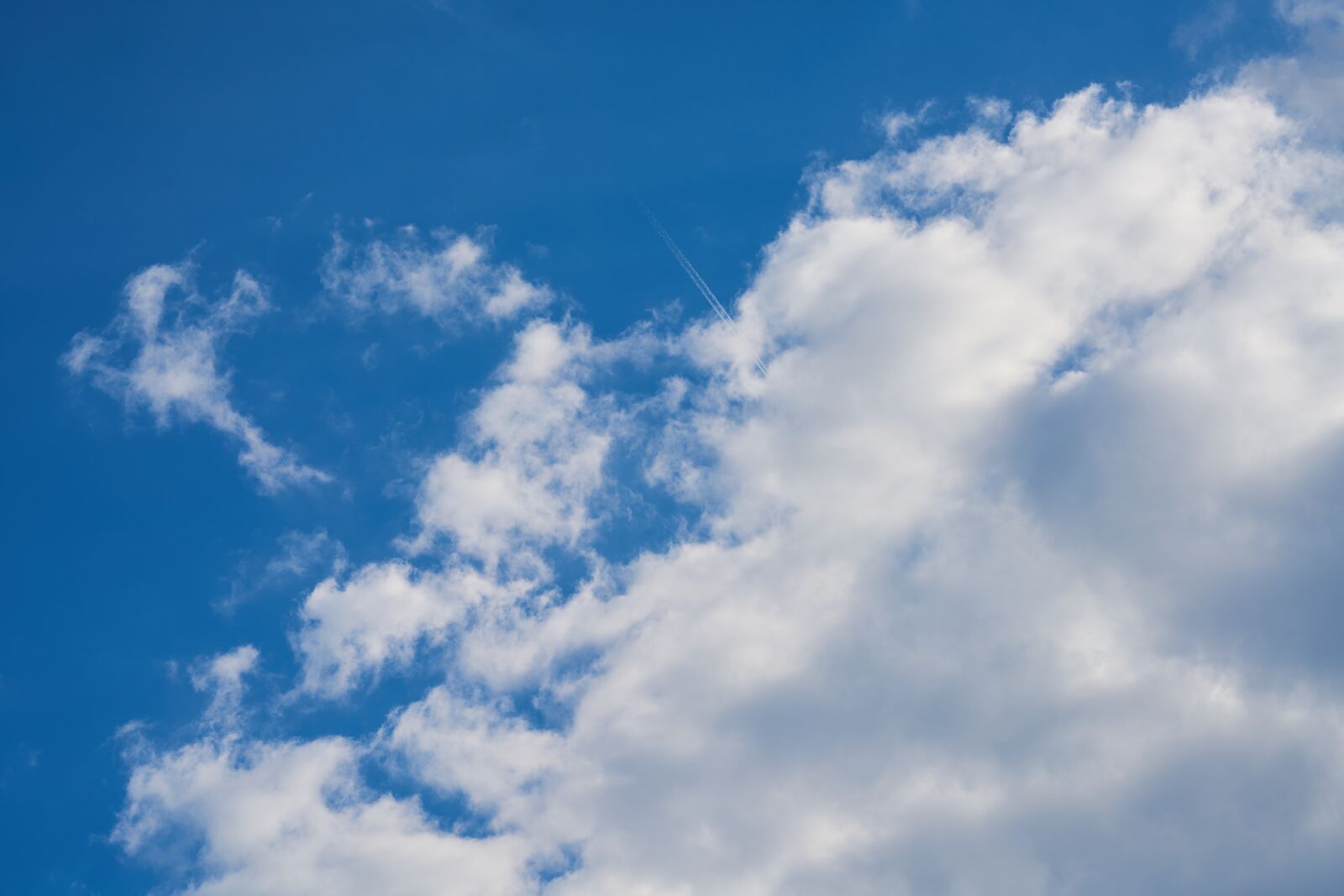 Sigma 85mm F1.4 DG HSM Art sample photo. Cloud, blue, sky photography