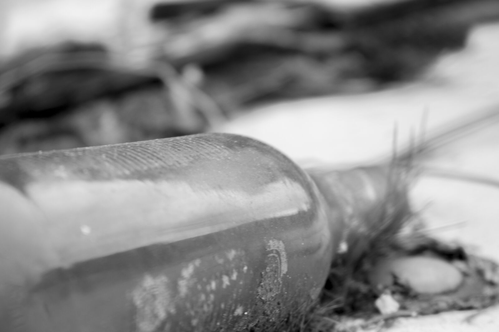 Canon EOS 700D (EOS Rebel T5i / EOS Kiss X7i) sample photo. Alcohol, bottles, beer, bottles photography
