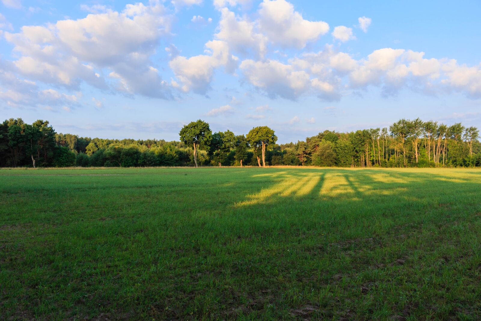 Canon EOS 100D (EOS Rebel SL1 / EOS Kiss X7) sample photo. Meadow, grass, landscape photography