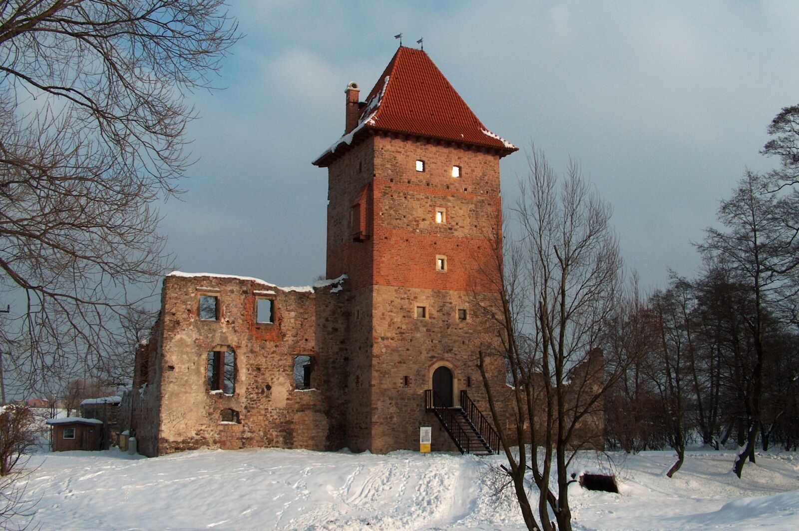 Nikon D90 sample photo. Chudov, castle, sky photography