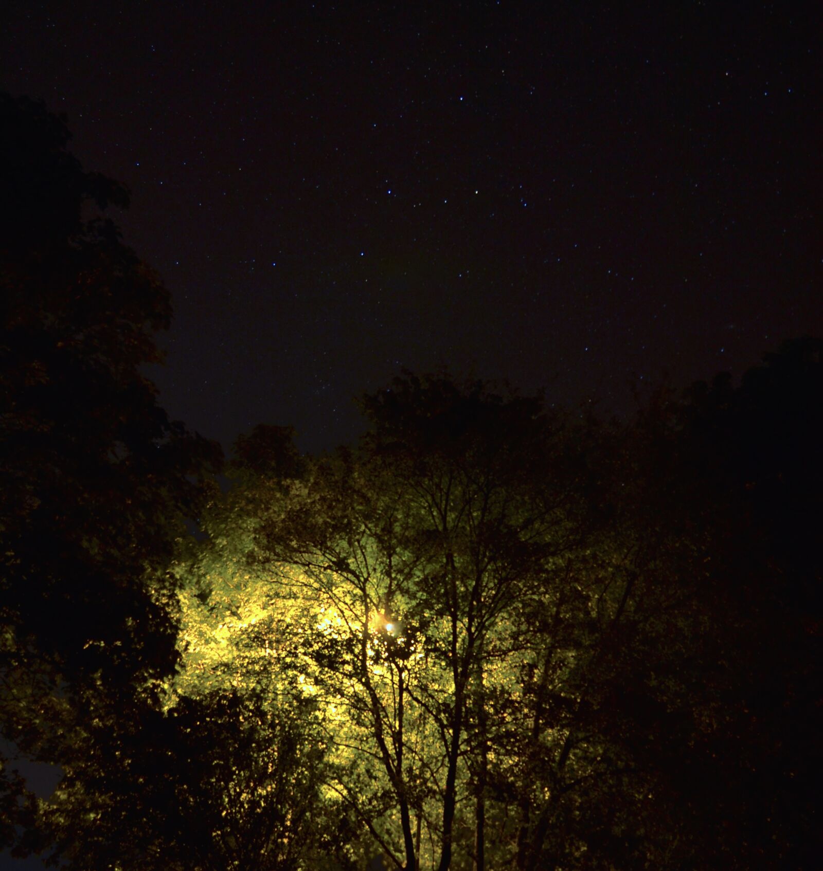 Nikon D3100 sample photo. Light, stars, theme, night photography