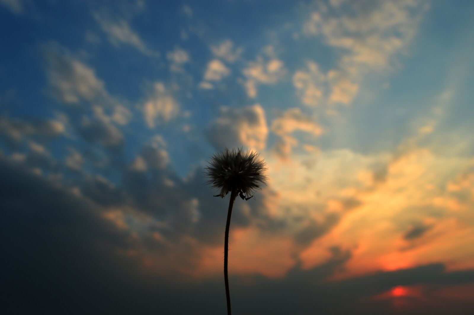 Nikon D3200 sample photo. Sunset, sunrise, silhouette photography
