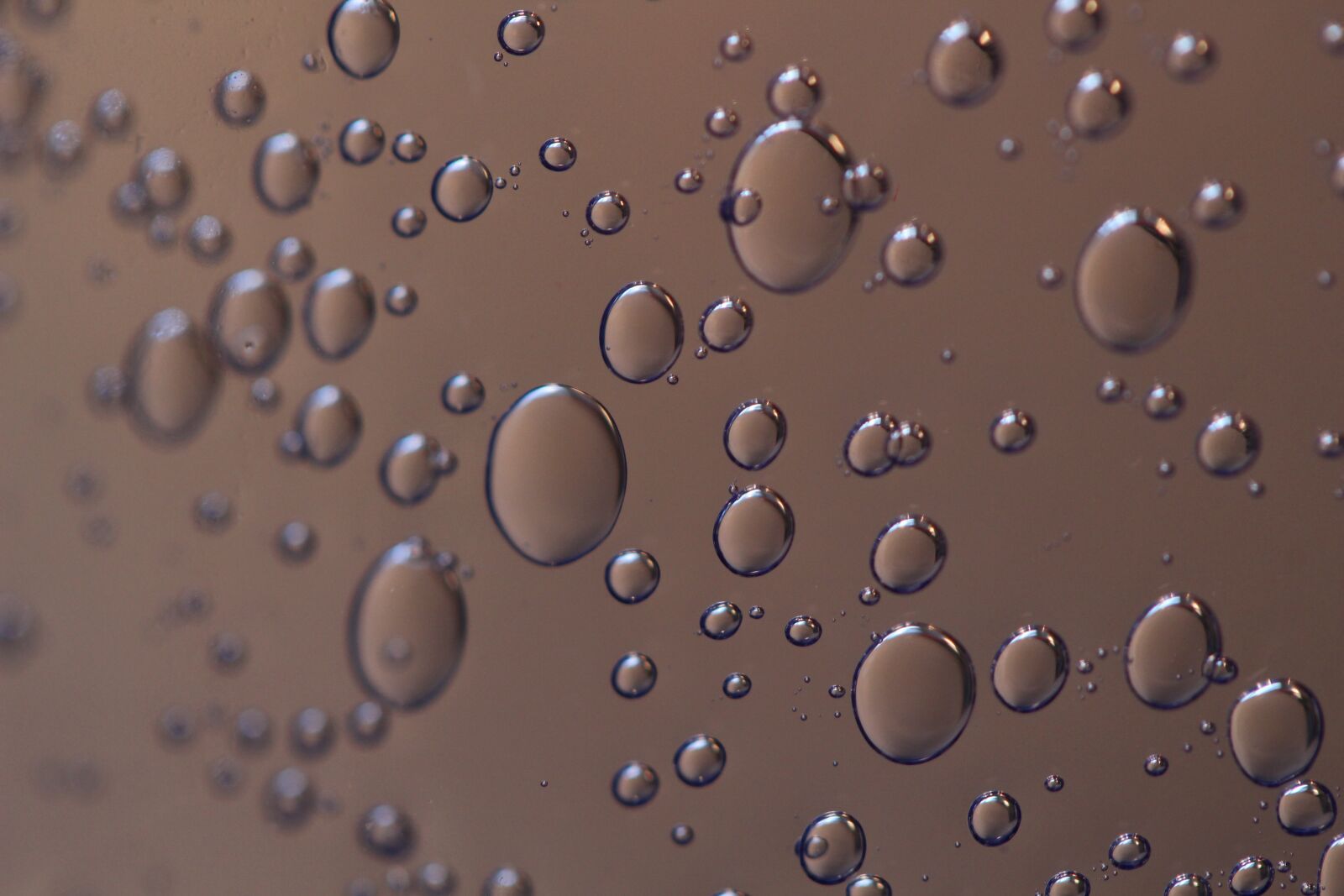 Canon EOS 100D (EOS Rebel SL1 / EOS Kiss X7) sample photo. Air bubbles, air, blow photography