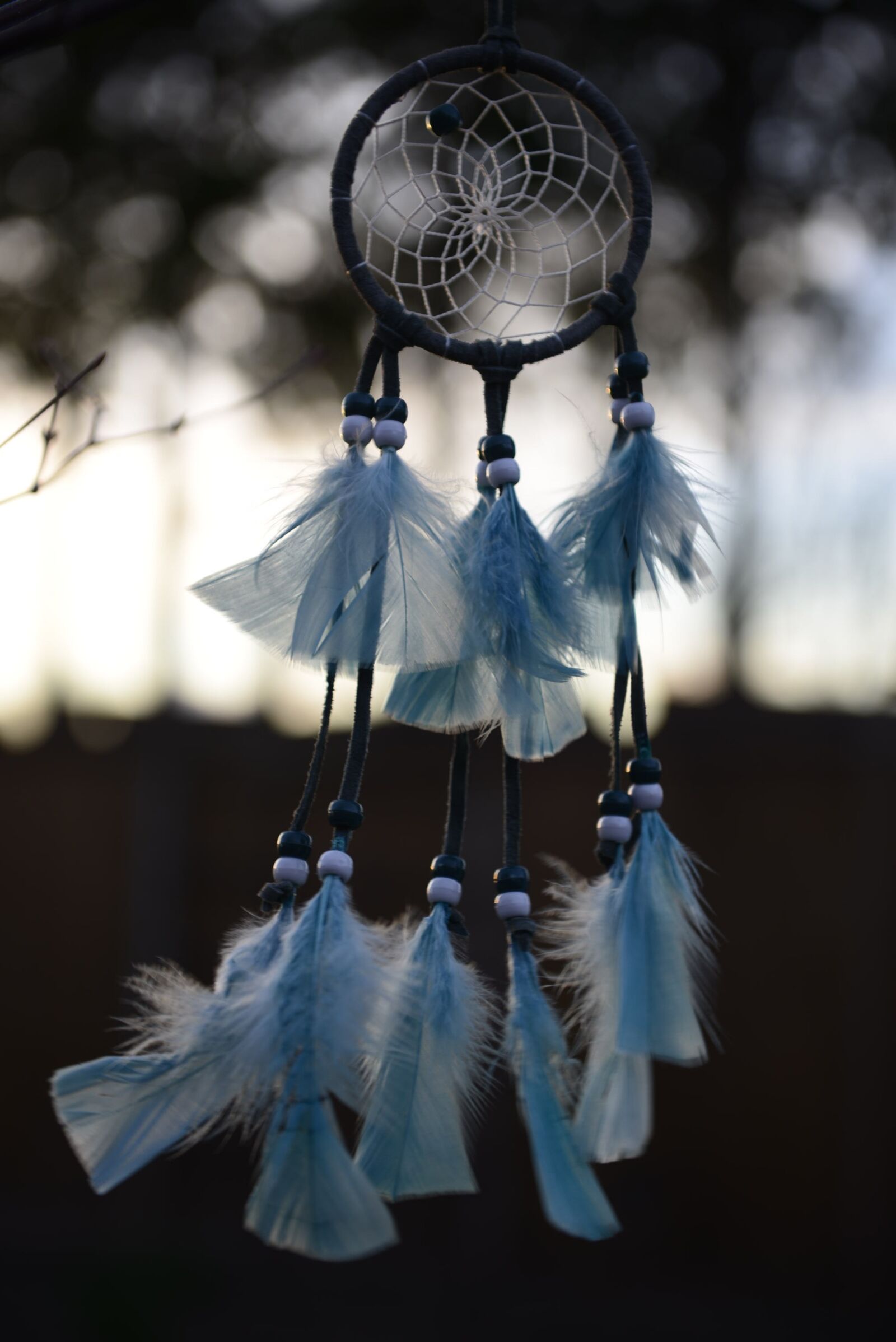 Nikon D610 sample photo. Dream, catcher, native photography