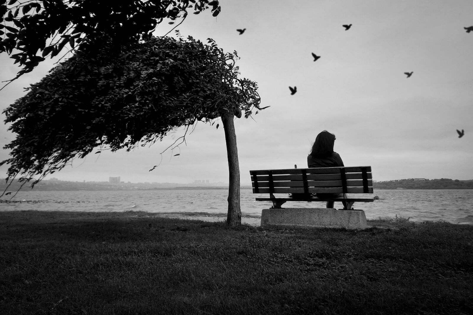Sony Xperia XA1 Ultra sample photo. Black and white, woman photography