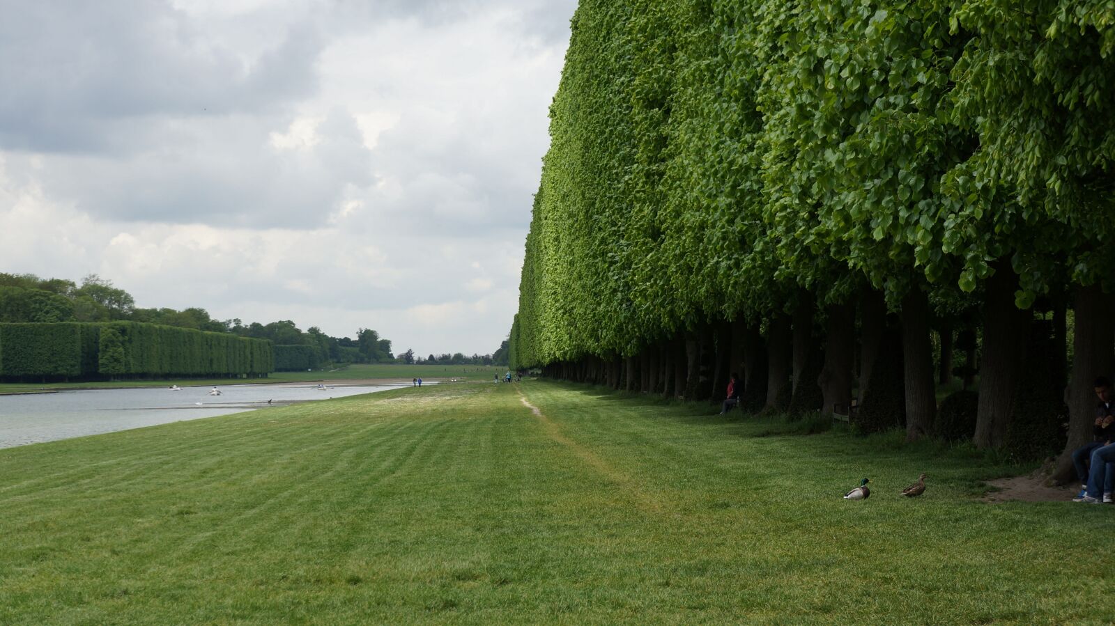 Sony Alpha NEX-5N sample photo. Grass, tree, trellis photography