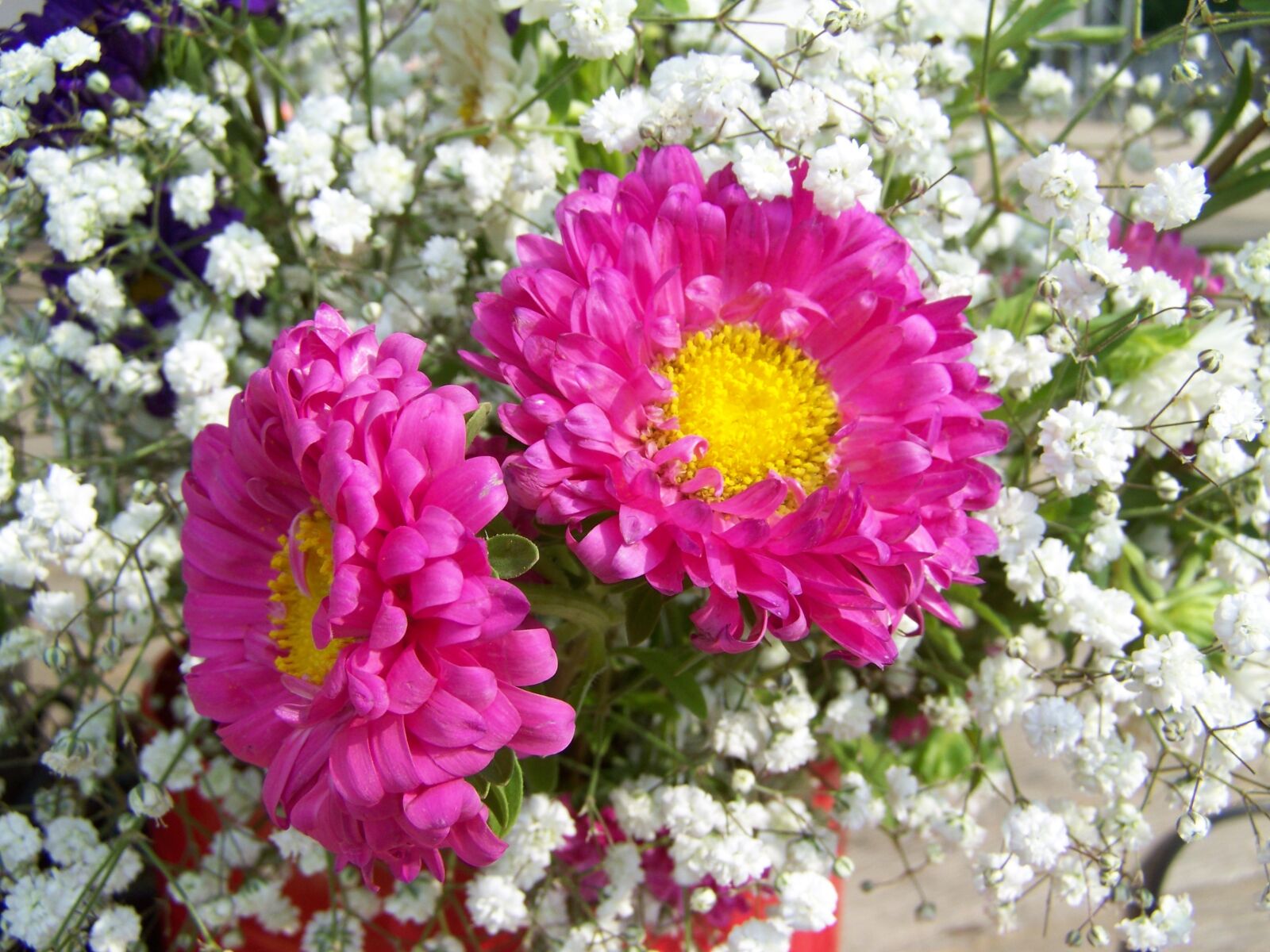 Kodak EASYSHARE ZD710 ZOOM DIGITAL CAMERA sample photo. Flower bouquet, pinkish-white, cut photography