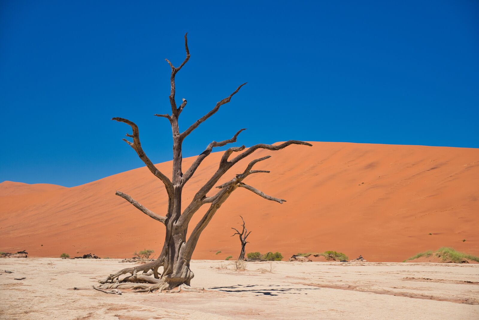 Fujifilm X-T2 sample photo. Desert, dry, sand photography