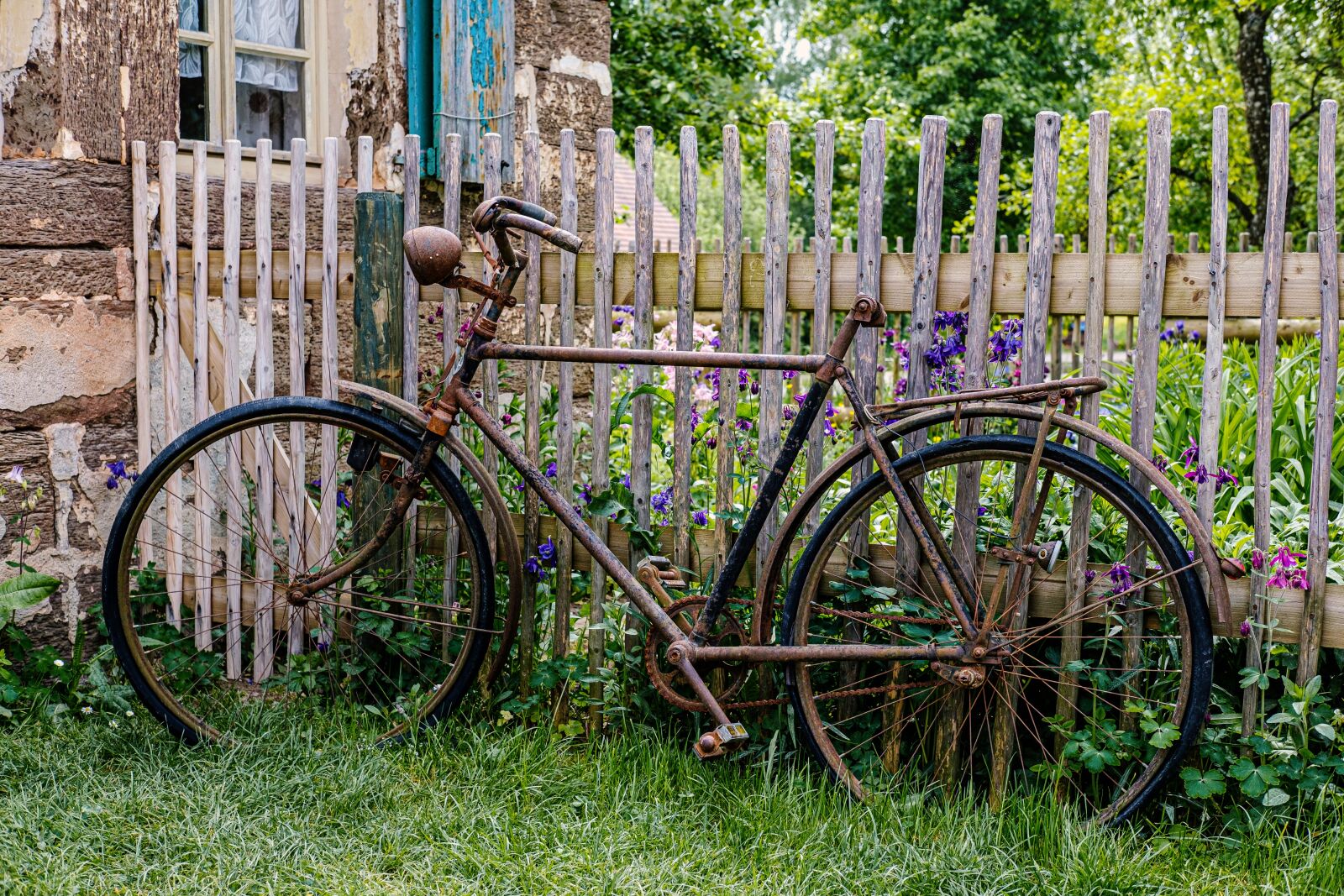 Fujifilm X-T2 + Fujifilm XF 35mm F2 R WR sample photo. Bike, old, means of photography