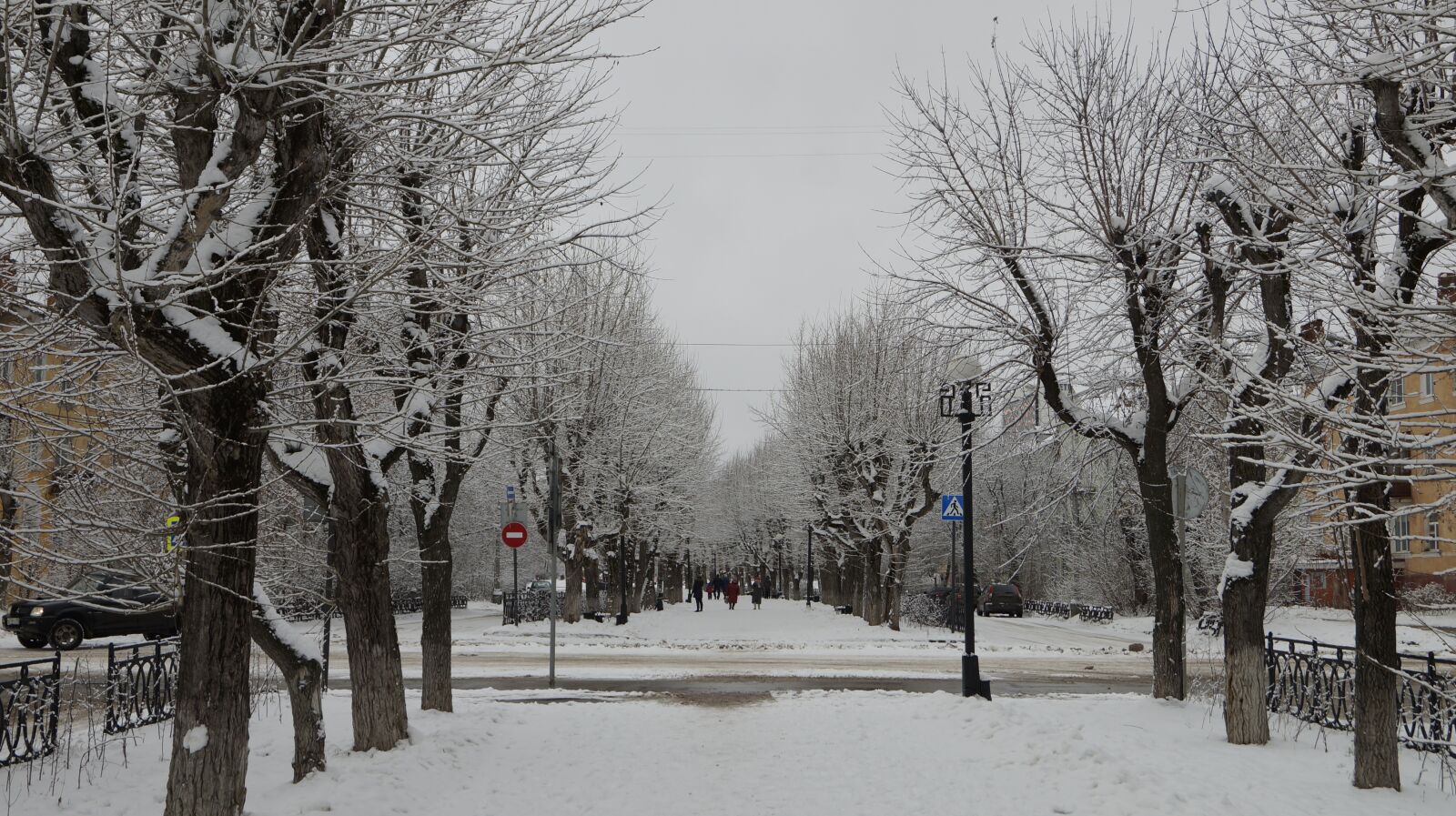 Sony SLT-A57 sample photo. City, park, landscape photography
