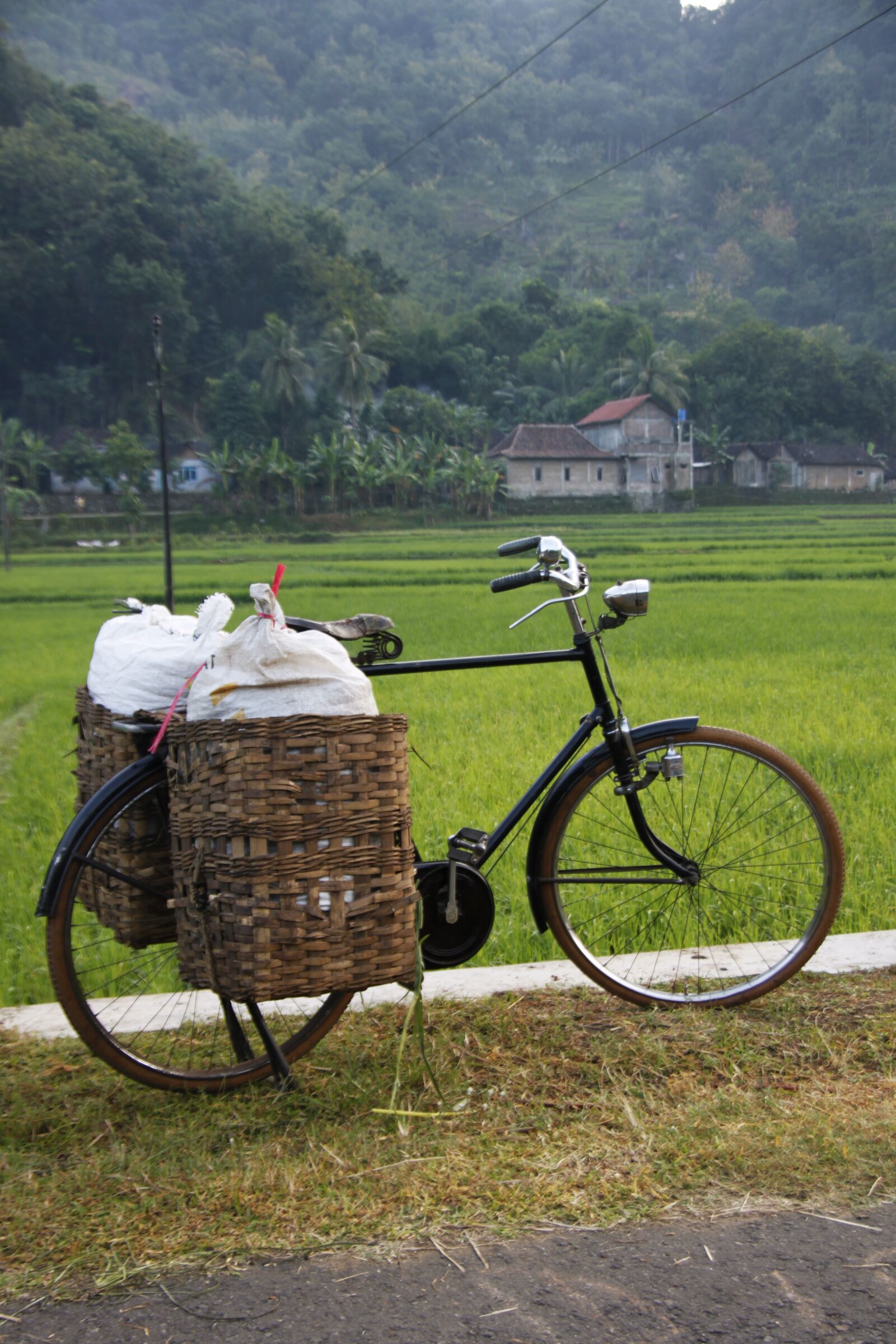 Canon EOS 500D (EOS Rebel T1i / EOS Kiss X3) sample photo. Bicycle, village, chores photography