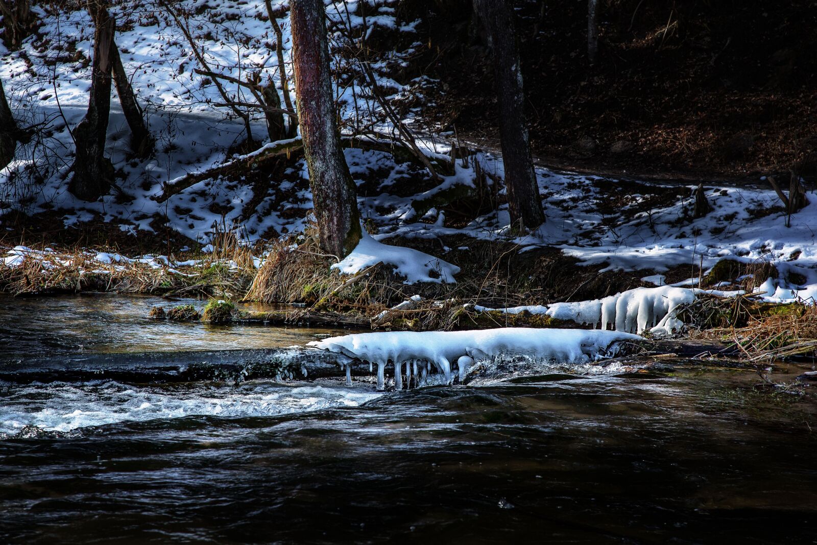 Canon EF 24-105mm F4L IS USM sample photo. Tanew, poland, river photography