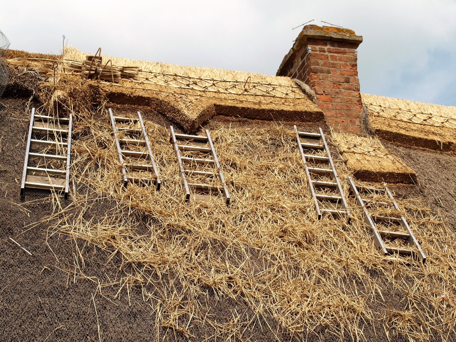Olympus E-520 (EVOLT E-520) sample photo. Roof, thatch, repair photography