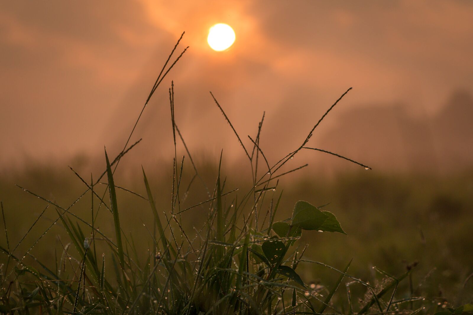 Canon EOS 70D sample photo. Sun, sunrise, sky photography