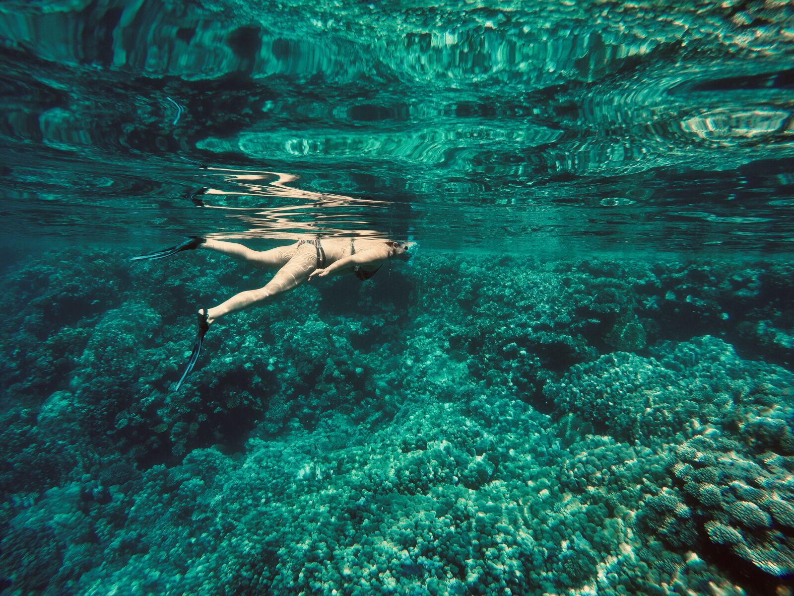 GoPro HERO4 Black sample photo. Diving, blue, reef photography