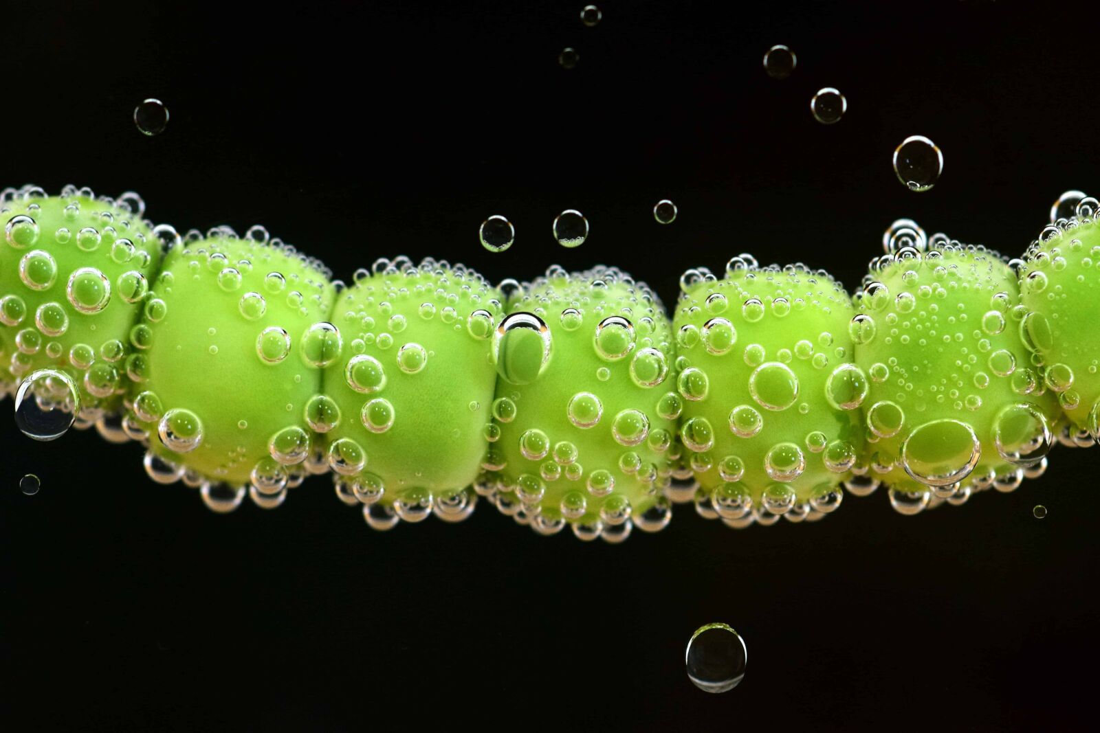 Nikon D3300 sample photo. Plant, bubble, underwater, art photography