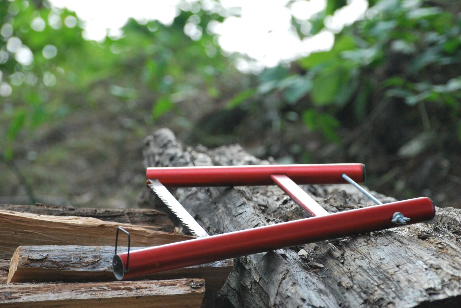 Nikon D60 sample photo. Saw, sawing, wood photography