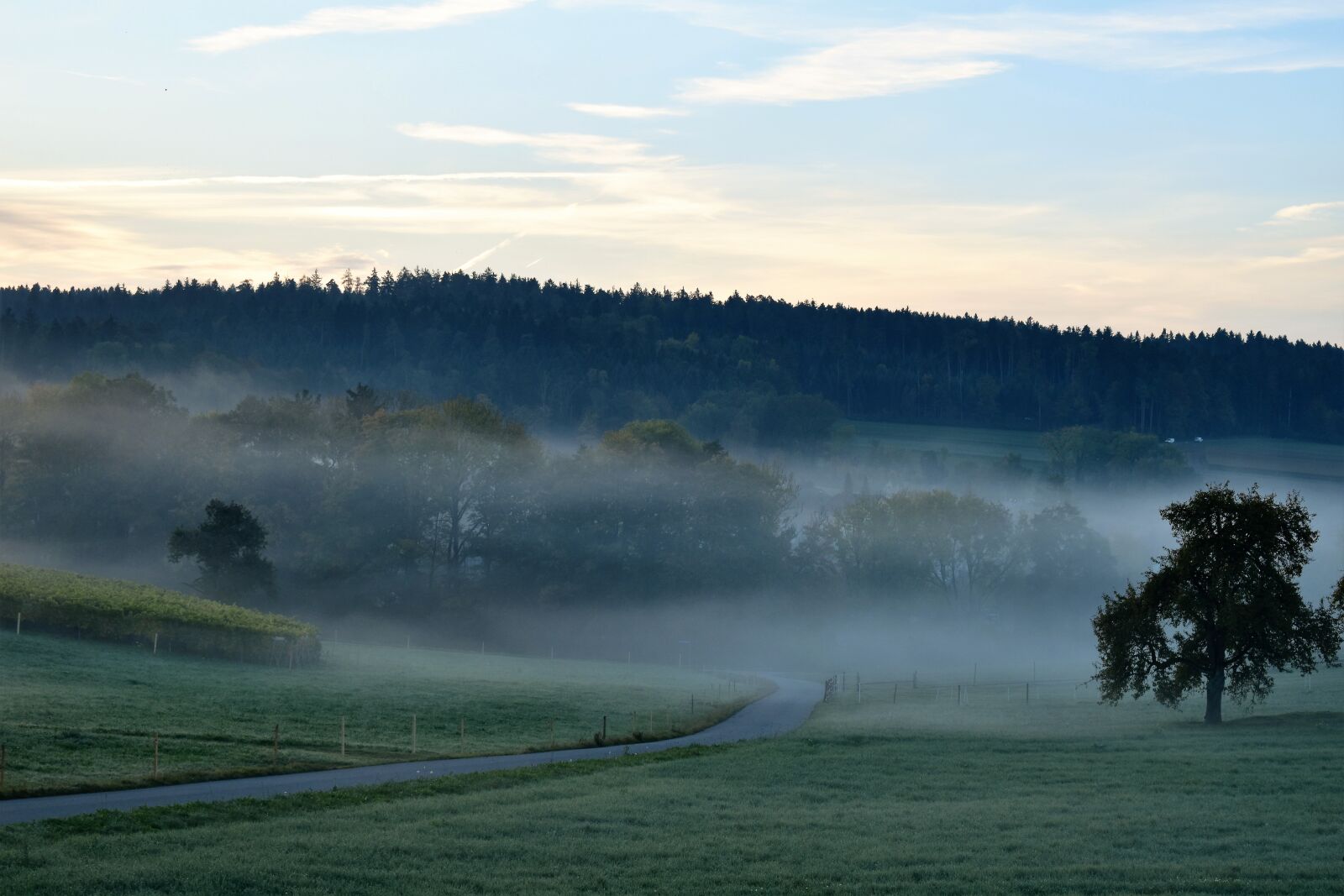 Nikon D5500 sample photo. Landscape, fog, morning photography