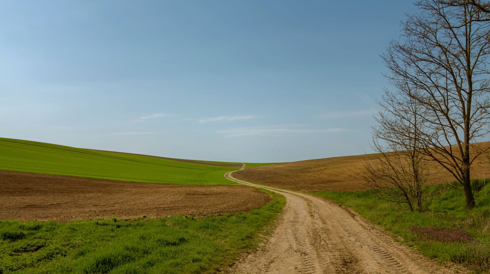 Canon EOS 70D sample photo. Path, field, fields photography