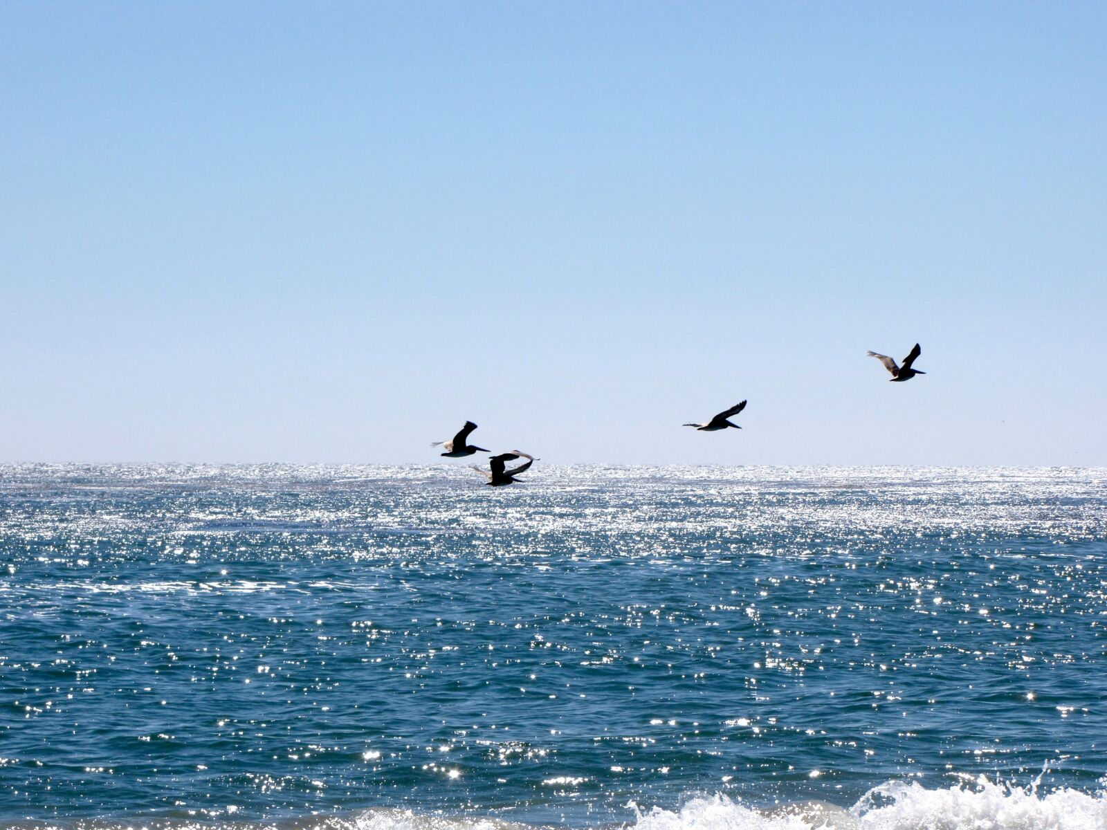 Canon PowerShot SX10 IS sample photo. California, santa cruz, water photography