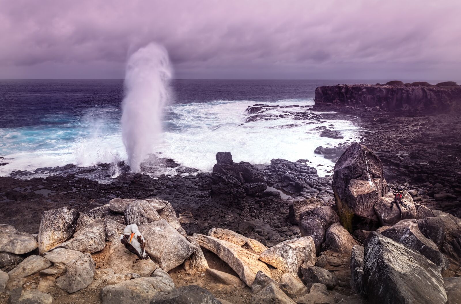 Canon EOS 6D sample photo. Espanola island, galapagos islands photography