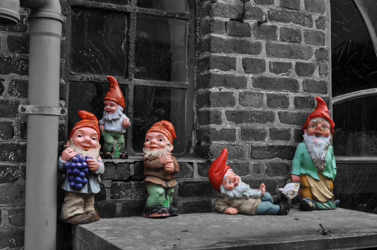 Nikon D5000 sample photo. Garden gnome, black and photography