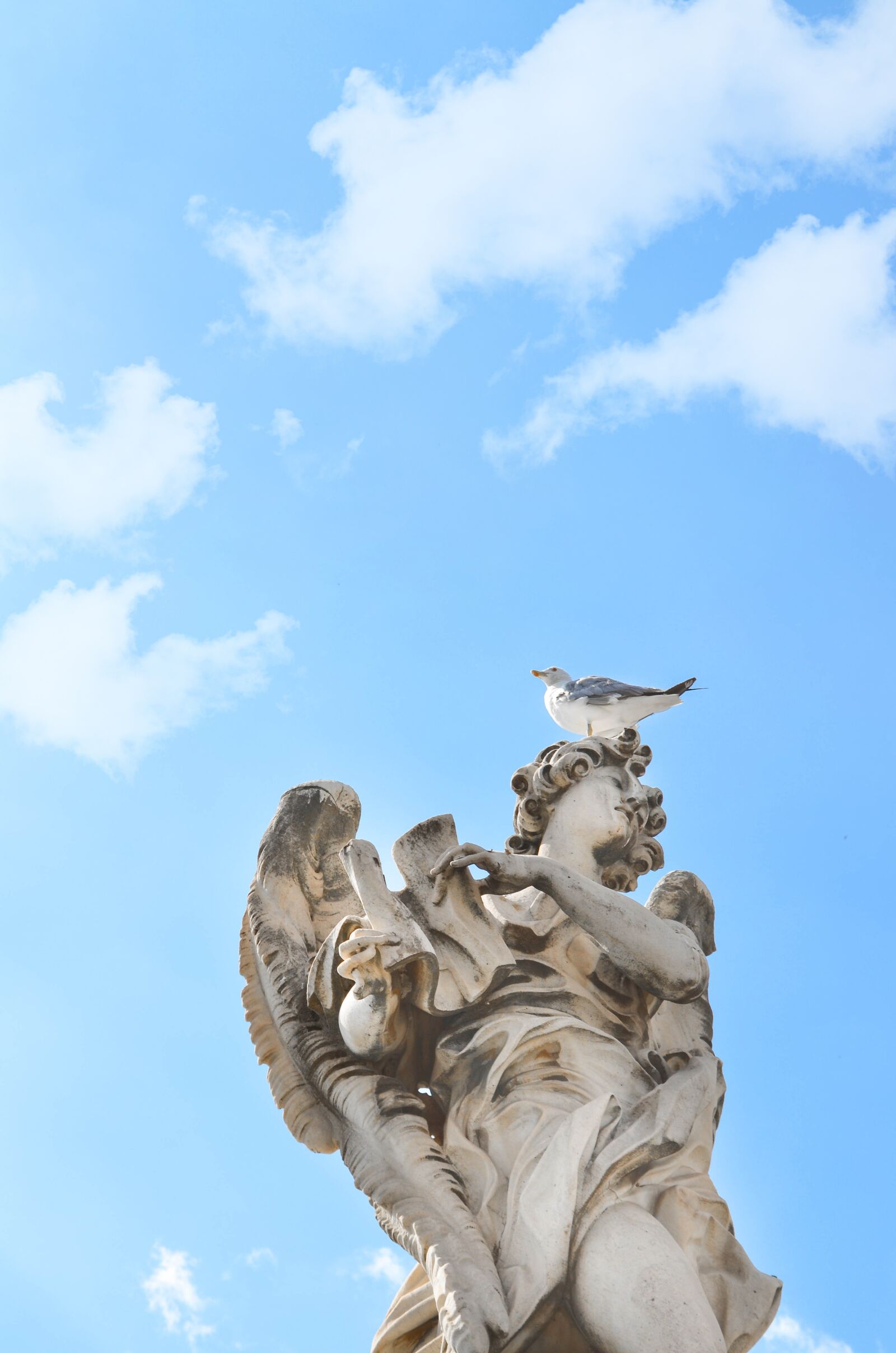 Nikon D5100 sample photo. Monument, rome, seagulls photography
