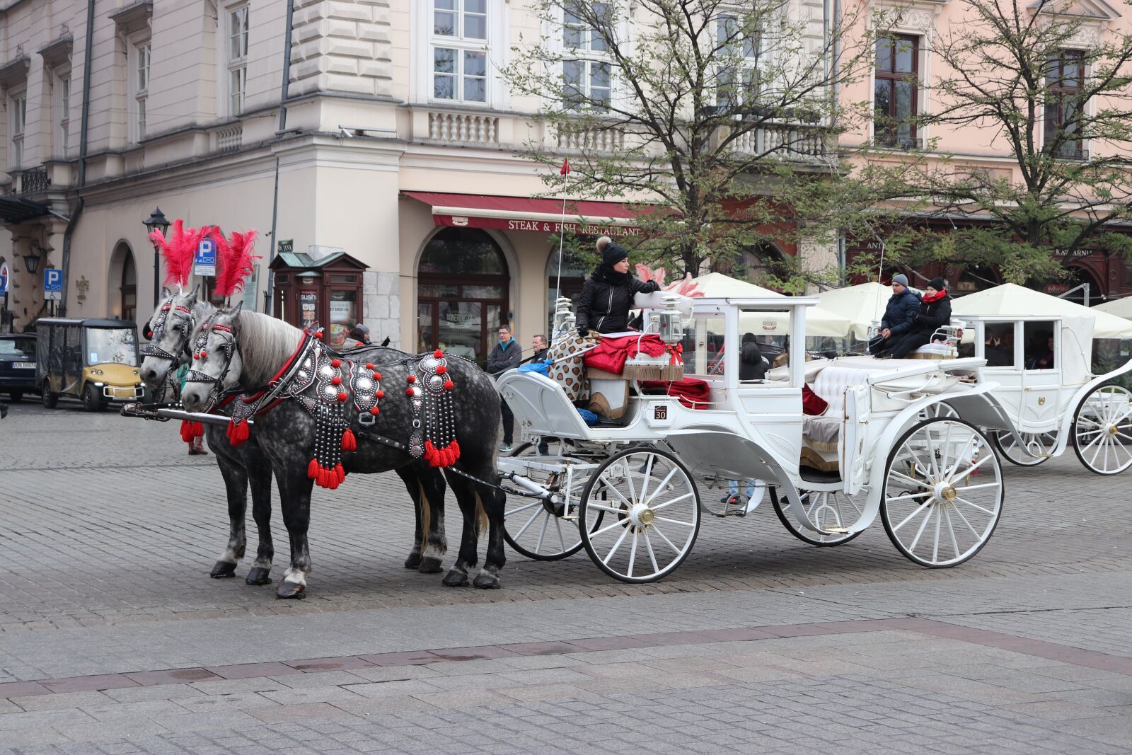Canon EOS 200D (EOS Rebel SL2 / EOS Kiss X9) sample photo. Horse, horses, tandem photography