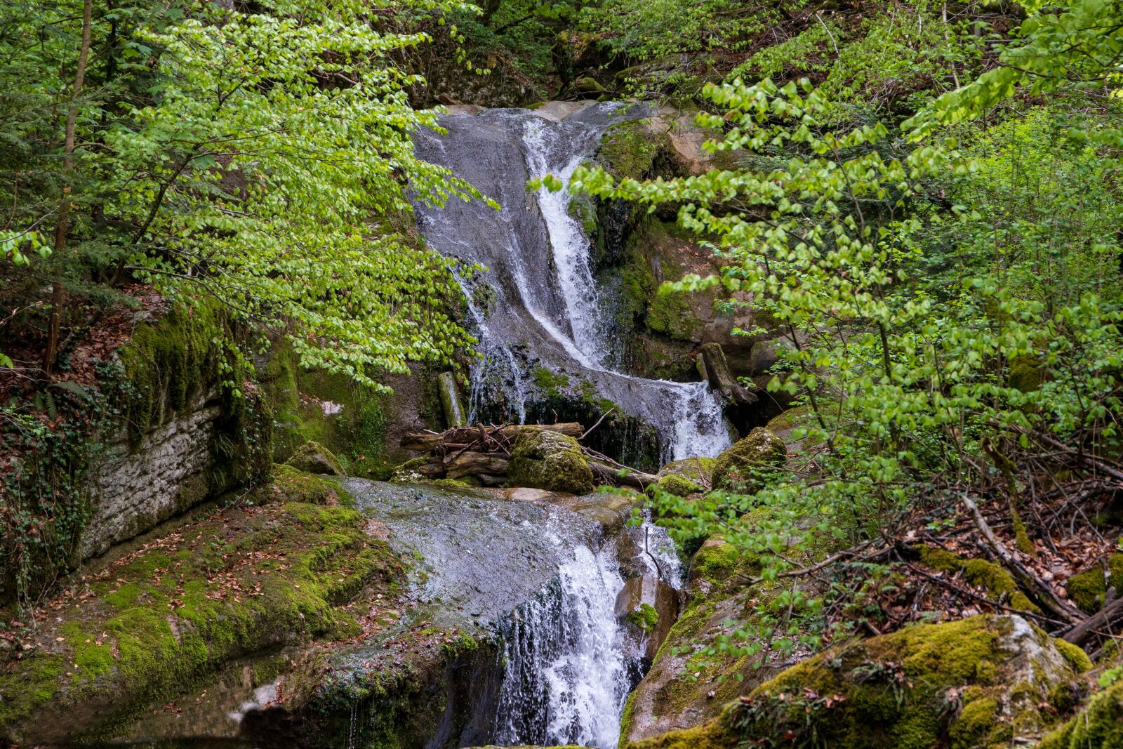 Canon EOS 6D Mark II sample photo. Waterfall, mountain stream, green photography