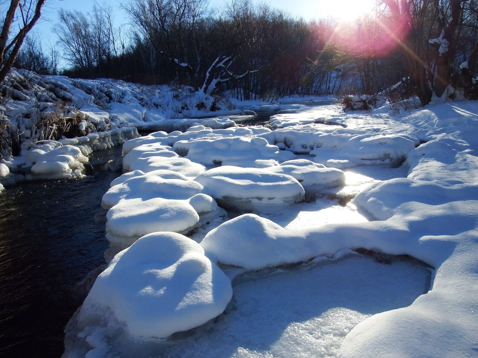 Fujifilm FinePix S1 sample photo. River, back on track photography