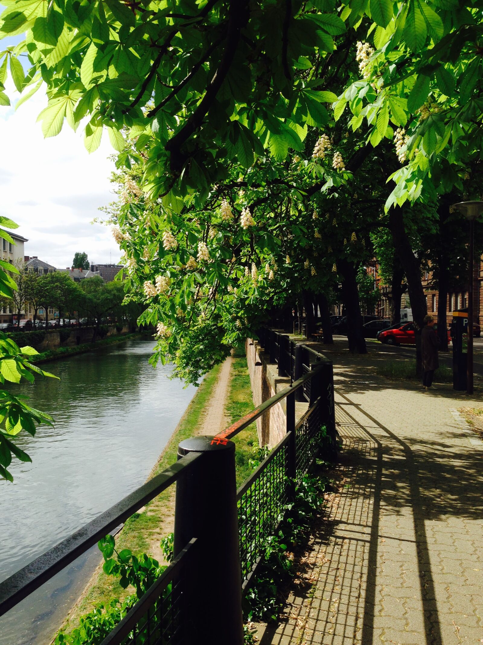 iPhone 5 back camera 4.12mm f/2.4 sample photo. Alsace, france, strasbourg photography