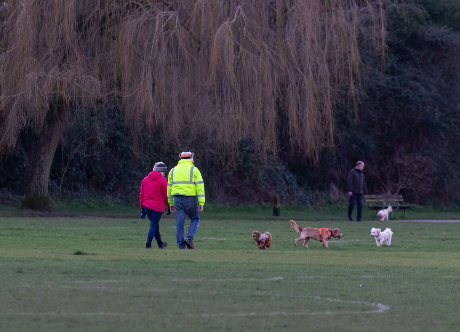 Canon EOS 7D Mark II sample photo. Dog walking, couple and photography