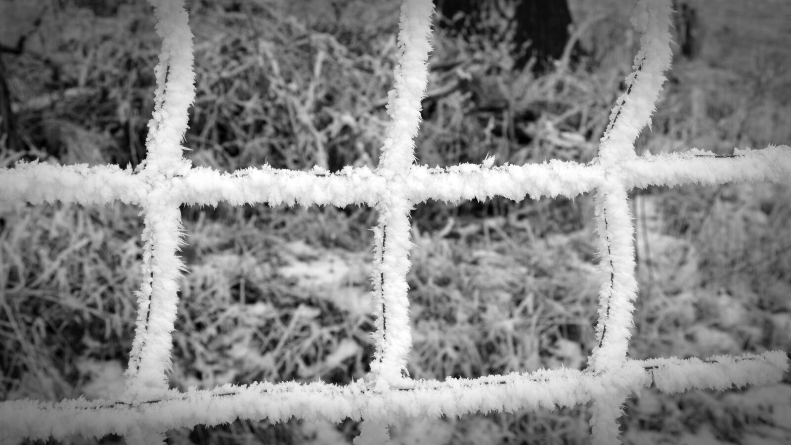 Nikon D5200 sample photo. Winter, fence, hoarfrost photography