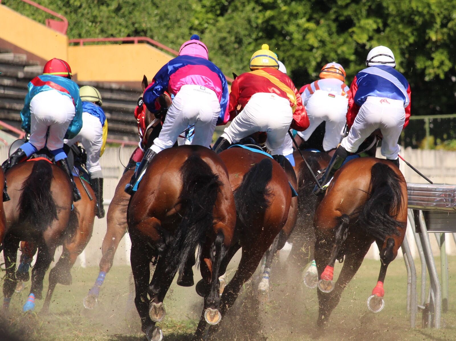 Canon EOS 1200D (EOS Rebel T5 / EOS Kiss X70 / EOS Hi) sample photo. Horse racing, horse, jockey photography