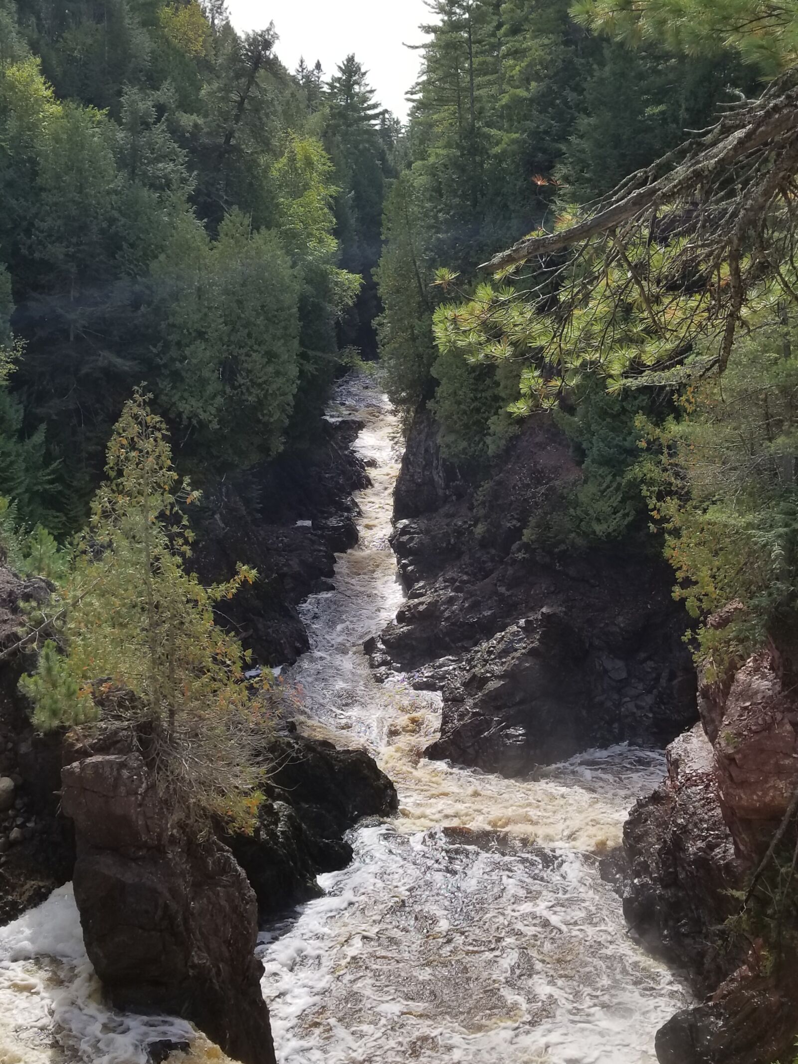 Samsung Galaxy S8 sample photo. River, woods, nature photography