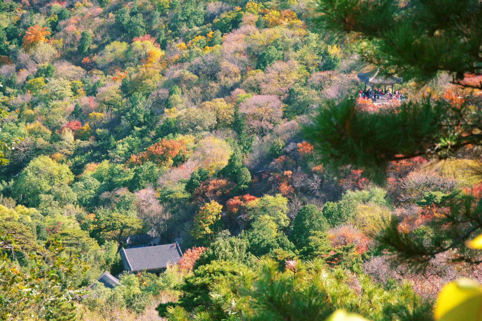 Nikon D7100 sample photo. Autumn, beijing, fragrant hill photography