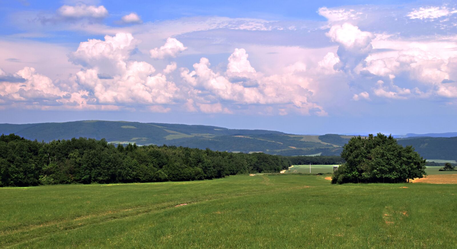 Nikon D5300 sample photo. Country, forests, meadow photography