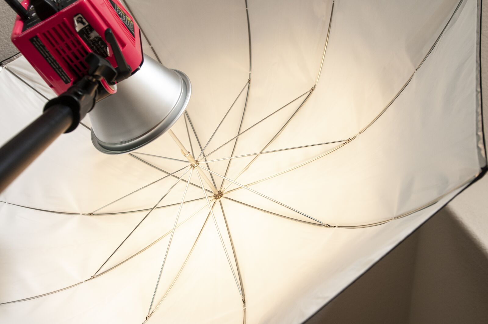 Nikon D300S sample photo. Alien bee, strobe light photography