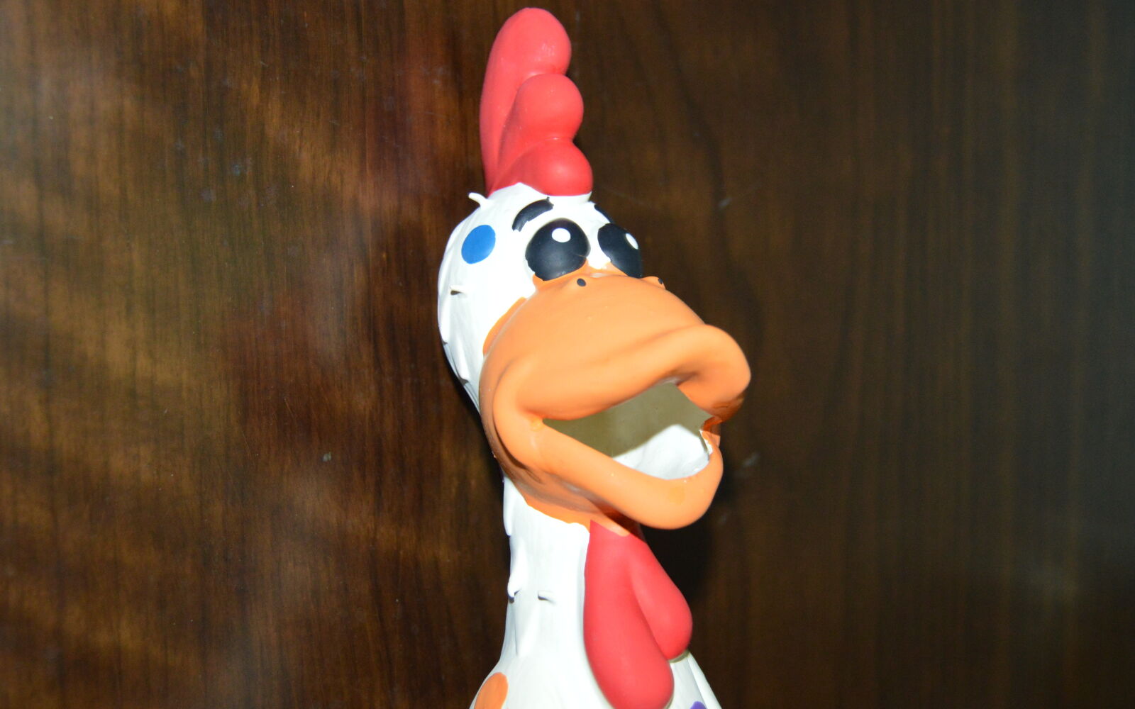 Nikon D3200 sample photo